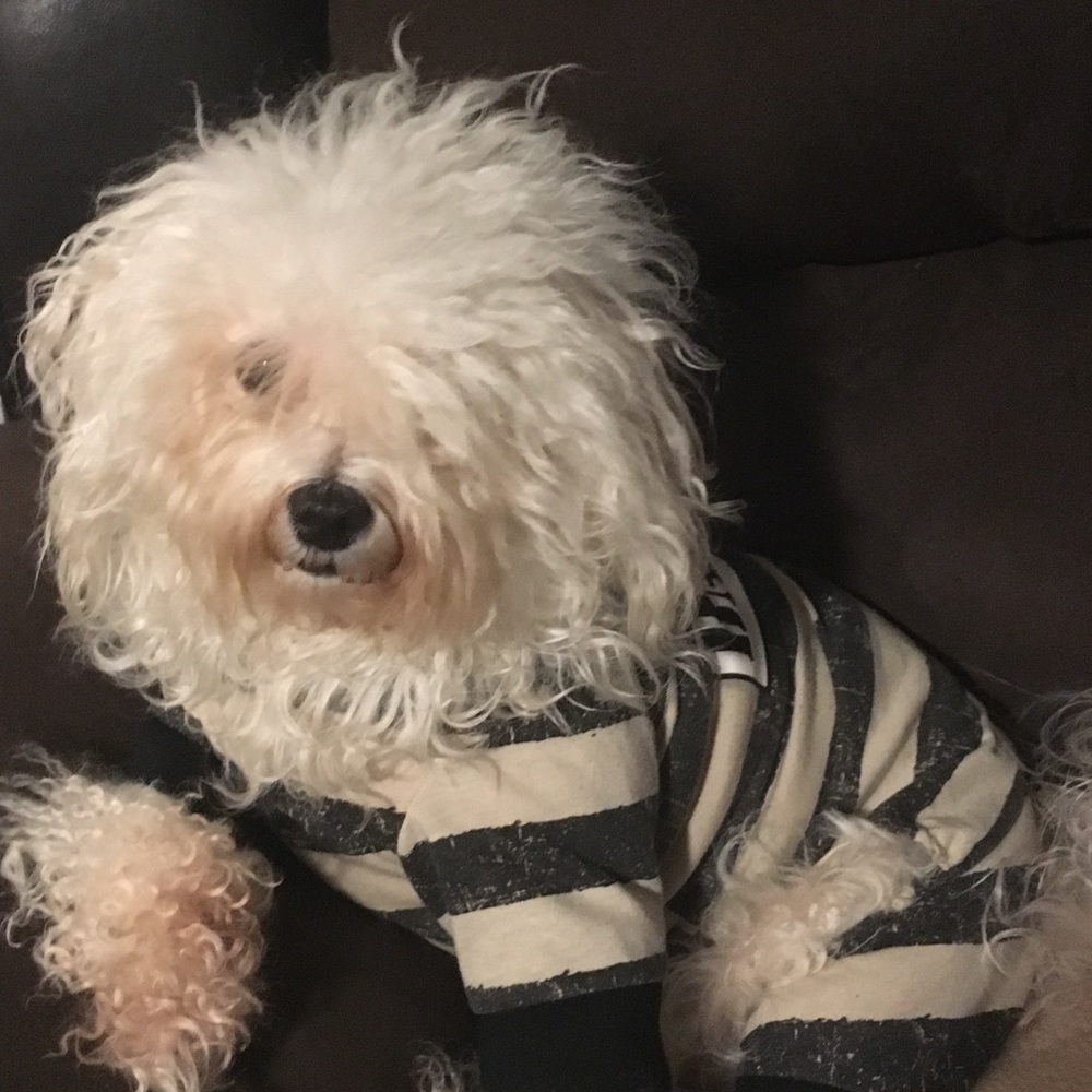 Meet your Posher, Lidia